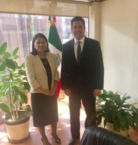 El gobernador Francisco García Cabeza de Vaca se reunió con Patricia Bugarín Gutiérrez, Coordinadora Nacional Antisecuestro de la Secretaría de Gobernación.