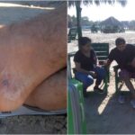 Ataca mantarraya a turista en Miramar