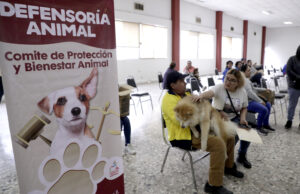 Realiza Escobedo jornada de esterilizaciones de mascotas