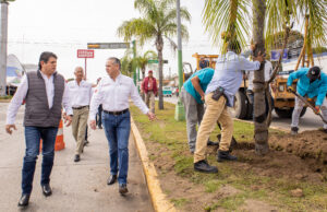 Adrián Oseguera impulsa programa de reforestación en principales avenidas