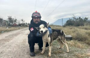 Rescatan en Escobedo a perrito atrapado en una alcantarilla