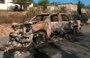 Enfrentamiento del CO en Rayones deja 5 muertos